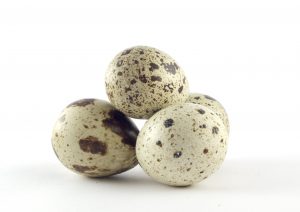 Можно ли перепелиные яйца при гепатите