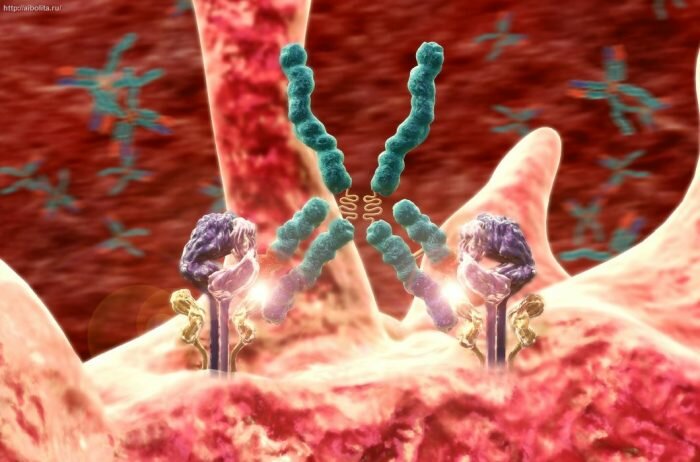 Аутоиммунные заболевания