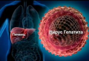 Возможно ли прожить с гепатитом с