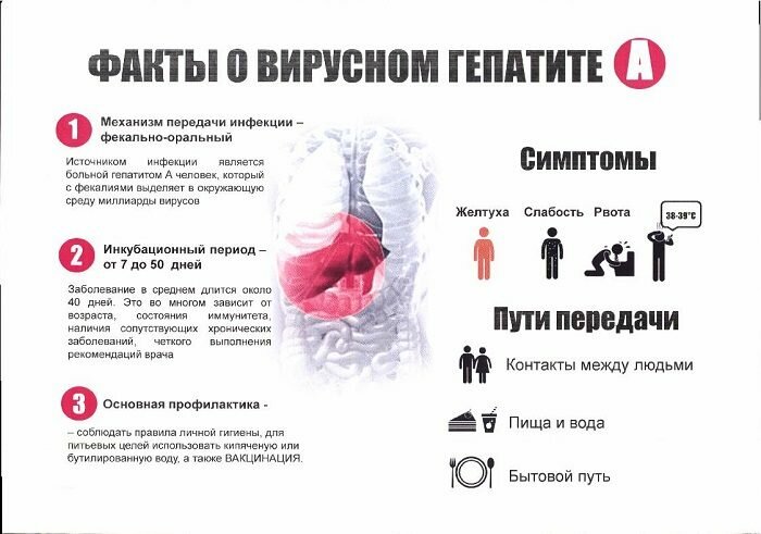 Симптомы и лечение гепатита А