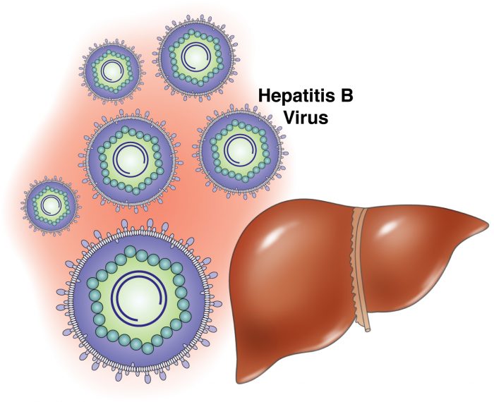 Хроническая форма гепатита В