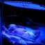 Синяя лампа при желтухе у новорожденных